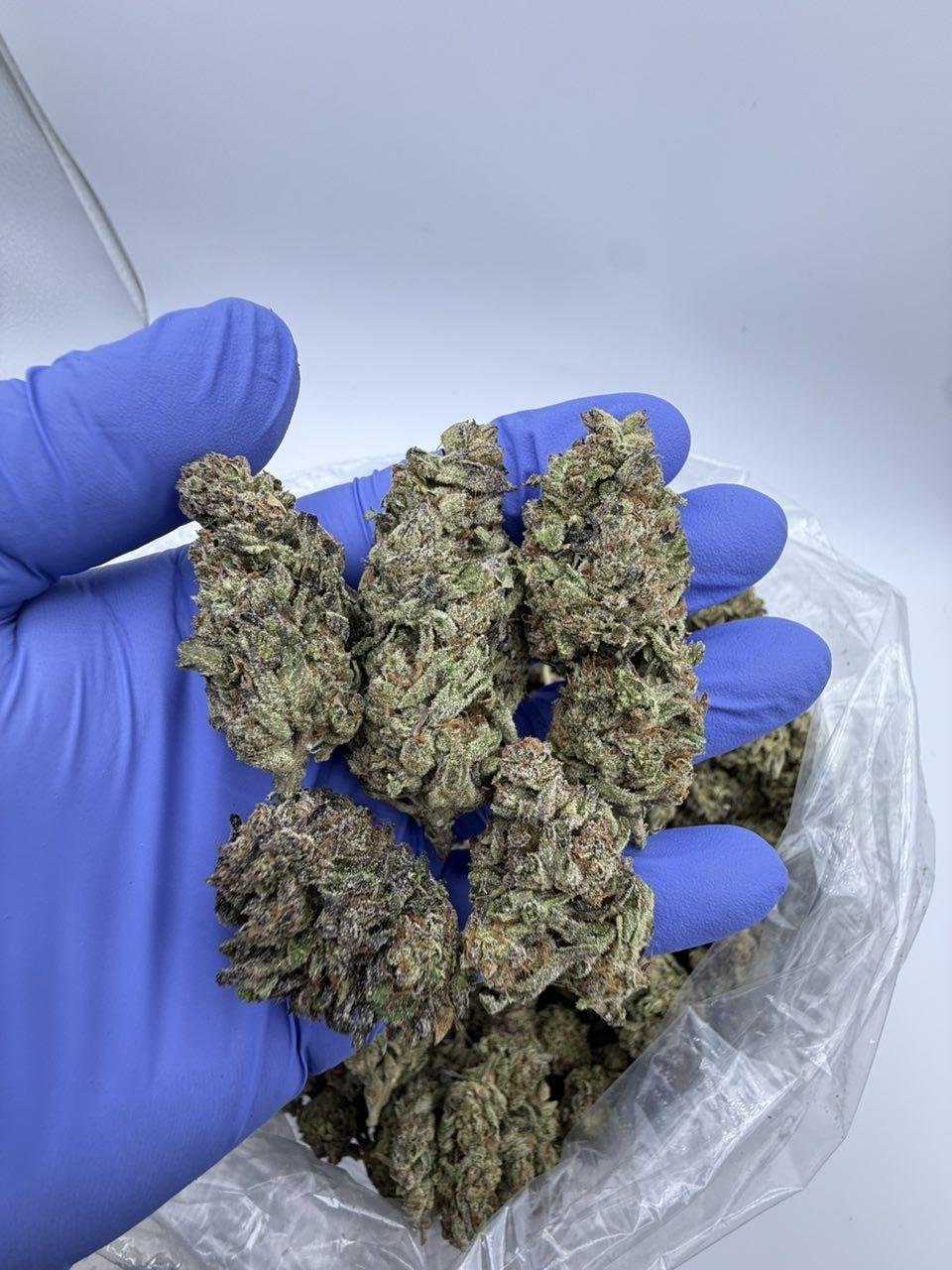 Blueberry Gas ⛽️🫐