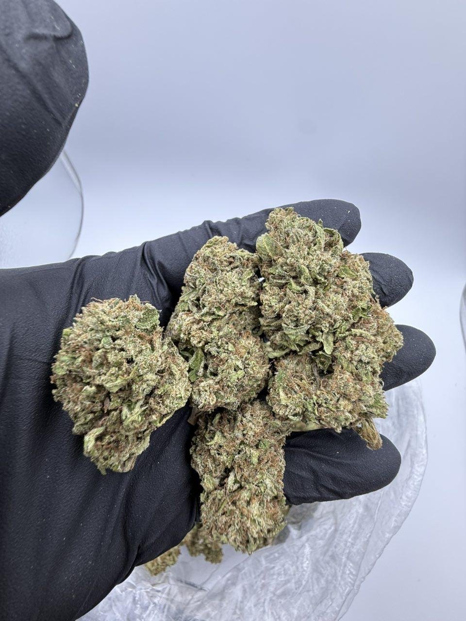 LCG Gumdropz 🍬🍬🍬