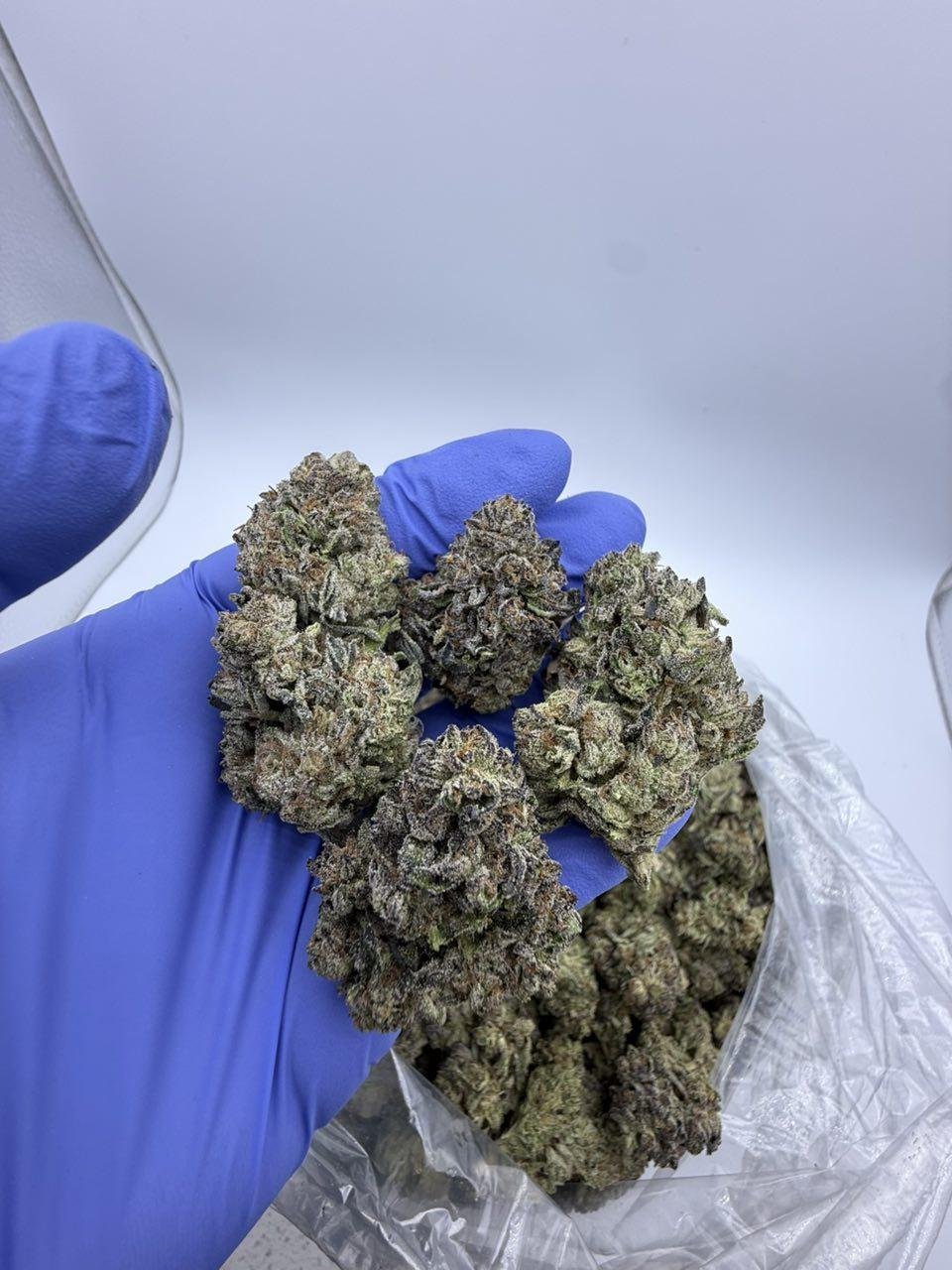 Modified Runts ⛽️🔥