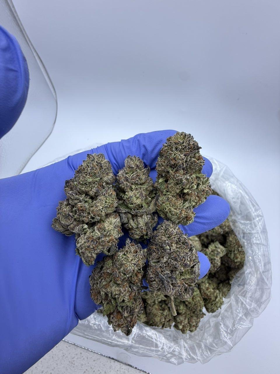 Sunset Sherbert 🔥